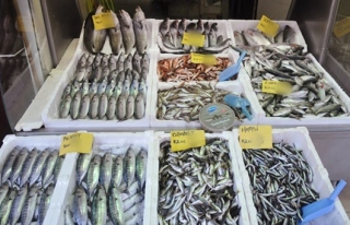 Balık fiyatları dudak uçuklatıyor