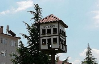 Safranbolu evi tarzında kuş yuvası