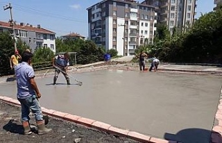 Demirtaş'tan park çıkarması!
