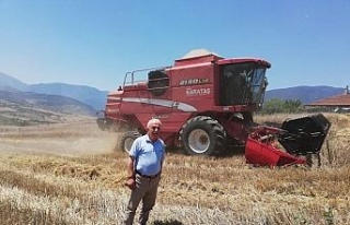 Karabük’te buğday hasadı başladı