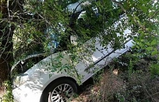 Otomobil ağaca çarptı! 1 yaralı