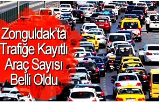 TÜİK açıkladı... İşte Zonguldak'taki araç...