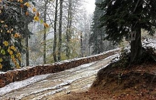 Yenice ormanlarına ilk kar düştü