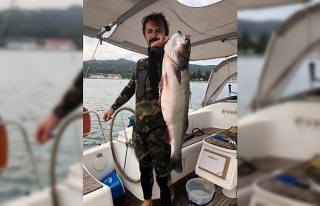 Zıpkınla 11 kilo balık yakaladı