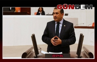 Milletvekili Demirtaş’tan asgari ücret açıklaması