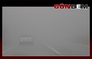 Zonguldak'ta sis etkili oluyor!