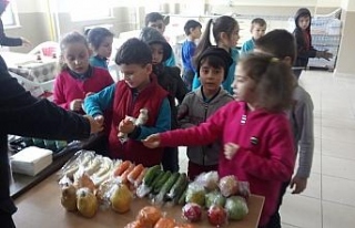 Düzce’de okul kantinlerinde meyve ve sebze dönemi
