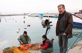 Sezon boyunca 600 ton hamsi avlanan Zonguldak’ta,...