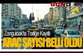 Zonguldak'ta Trafiğe Kayıtlı Araç Sayısı...