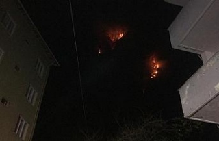 Bartın’daki orman yangını kontrol altına alındı