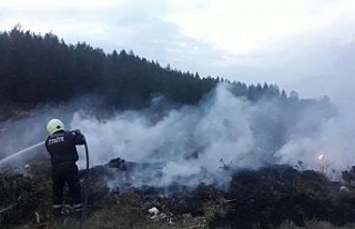 Karabük’te anız yangını
