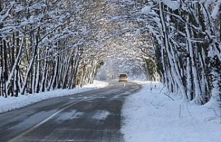 Ağaç tünellerde kar güzelliği