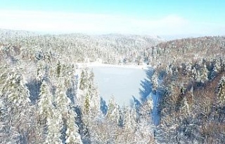 Çamlıpınar göleti buz tuttu