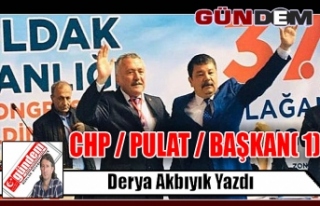 CHP / PULAT / BAŞKAN( 1)