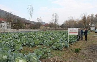 Düzce Üniversitesi’nde tarım paneli düzenlenecek