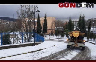 Zonguldak'ta kar tuzlama çalışmaları başladı...