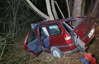 Otomobil ağaca çarptı: 1 ölü