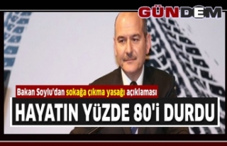 TÜRKİYE'DE HAYATIN YÜZDE 80'İ DURDU...