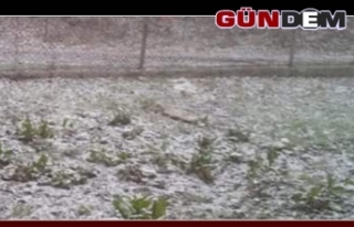 Zonguldak'ın yüksek kesimlerinde kar yağışı