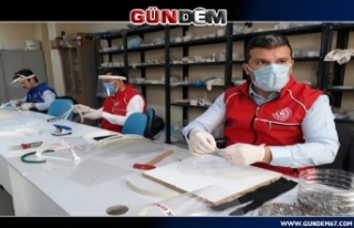 Gençlik Merkezi 5 bin 900 siper maske dağıttı