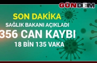 Türkiye'de 356 can aldı, vaka sayısı 18 bini...