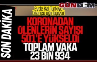 Türkiye'de toplam vaka 23 bin 934'e, can...