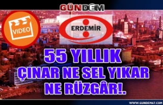 55 YILLIK ÇINAR NE SEL YIKAR NE RÜZGÂR!.