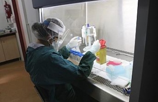 “Günlük PCR testi kapasitemiz 500-600 arasında”