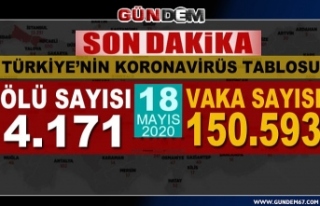 Türkiye'de koronavirüsten 31 can kaybı daha