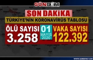 Türkiye'de son 24 saatte koronavirüsten 84...