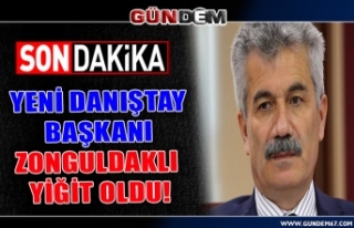 Yeni Danıştay Başkanı Zonguldaklı Yiğit oldu!