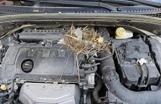 Otomobilin motor kısmına yuvalayan fare çıkarılamadı