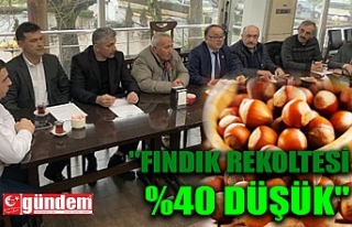 "FINDIK REKOLTESİ %40 DÜŞÜK"