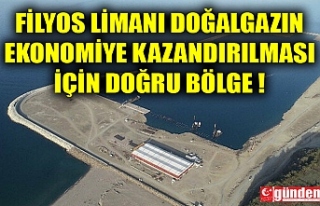 FİLYOS LİMANI DOĞAL GAZIN EKONOMİYE KAZANDIRILMASI...