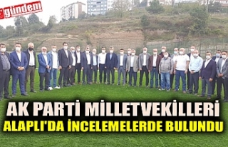 AK PARTİ MİLLETVEKİLLERİ ALAPLI'DA İNCELEMELERDE...
