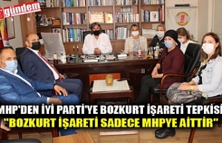 MHP'den İyi Parti'ye Bozkurt işareti tepkisi:...