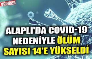 ALAPLI'DA COVID-19 NEDENİYLE ÖLÜM SAYISI 14'E...