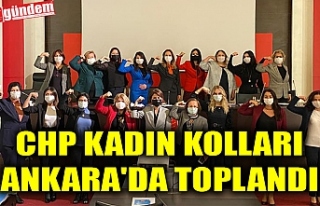 CHP KADIN KOLLARI ANKARA'DA TOPLANDI