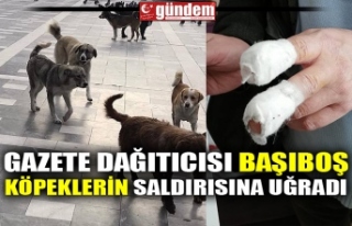 GAZETE DAĞITICISI BAŞIBOŞ KÖPEKLERİN SALDIRISINA...