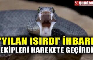 'YILAN ISIRDI' İHBARI EKİPLERİ HAREKETE...