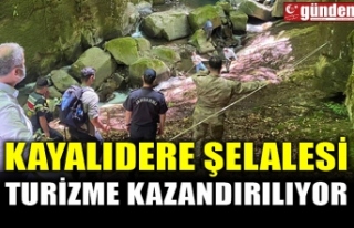 KAYALIDERE ŞELALESİ TURİZME KAZANDIRILIYOR