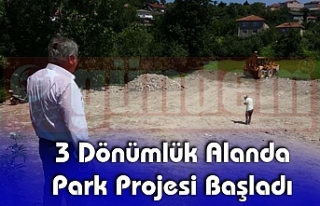 3 Dönümlük Alanda Park Projesi Başladı