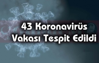 43 Koronavirüs Vakası Tespit Edildi