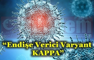 'Endişe Verici Varyant KAPPA'