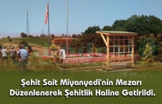 Şehit Sait Miyanyedi'nin Mezarı Düzenlenerek...