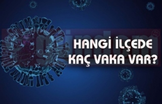 Zonguldak İl Genelinde Tespit Edilen Toplam Vaka ...