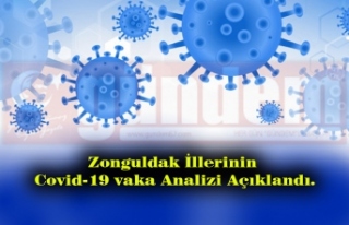 Zonguldak illerinin vaka analizi açıklandı.