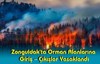 Zonguldak'ta Orman Alanlarına Giriş – Çıkışlar...
