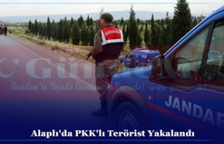 Alaplı'da PKK'lı Terörist Yakalandı