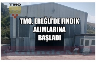 TMO,EREĞLİ'DE FINDIK ALIMLARINA BAŞLADI